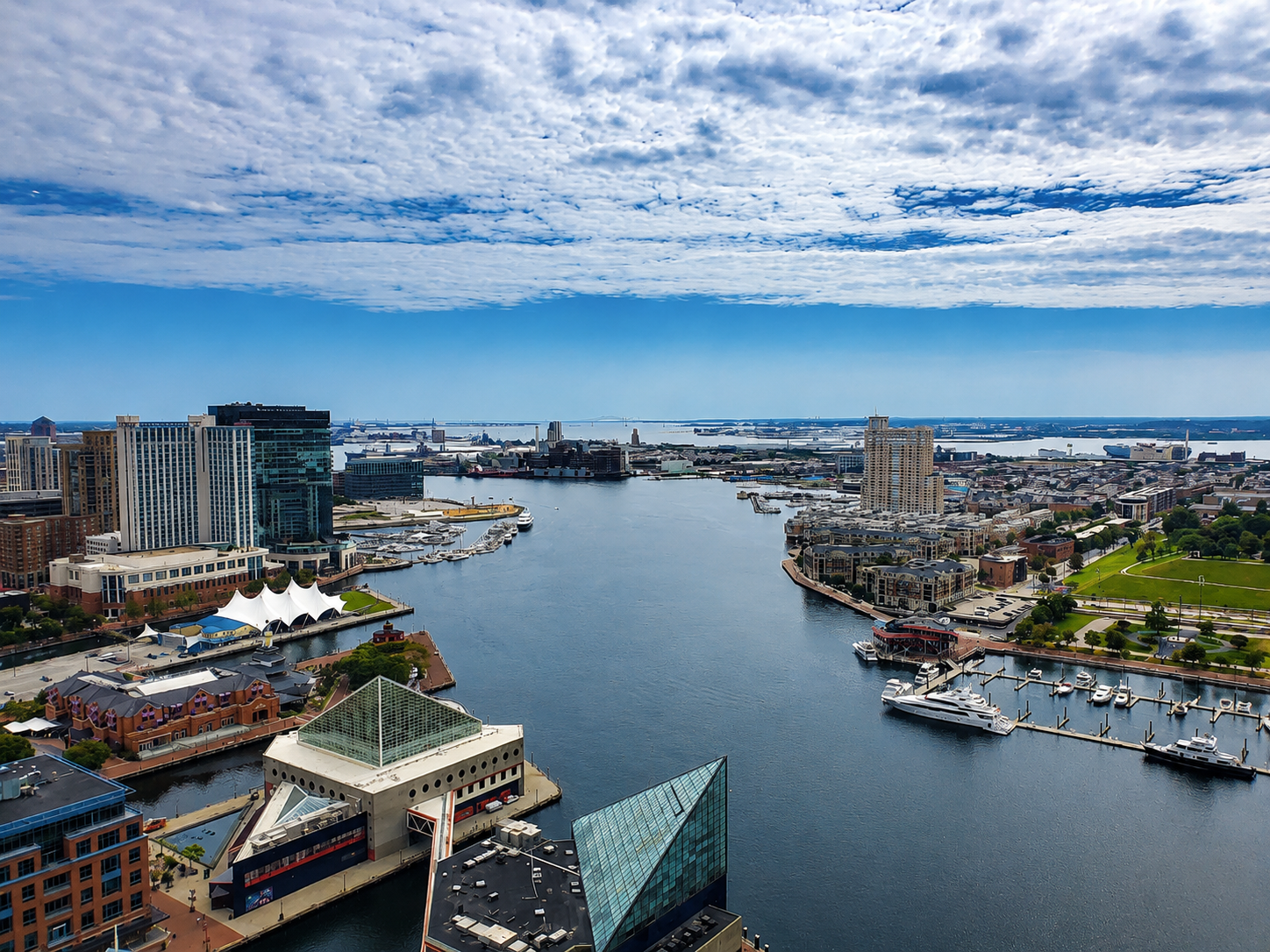 Essential Baltimore
